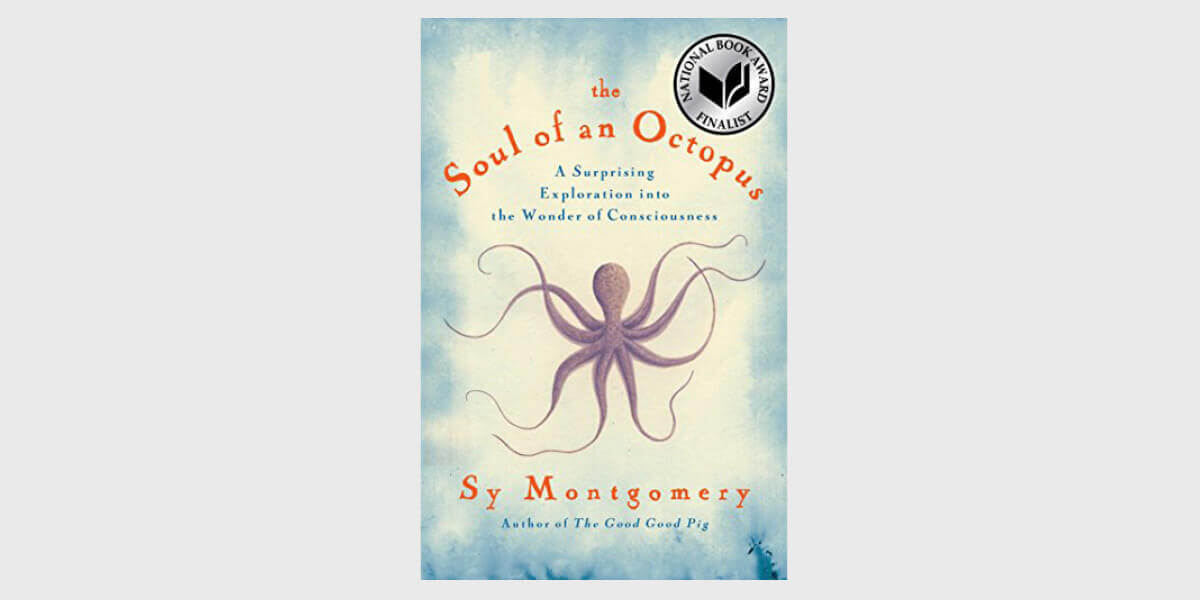 soul of the octopus book soul of the octopus book